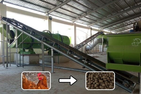 chicken manure granulation plant setup